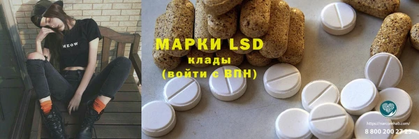 PSILOCYBIN Белокуриха