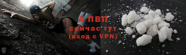 PSILOCYBIN Беломорск