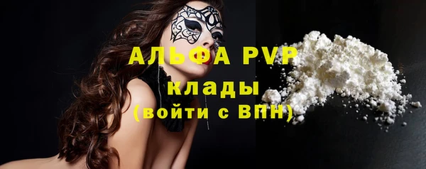 PSILOCYBIN Белокуриха