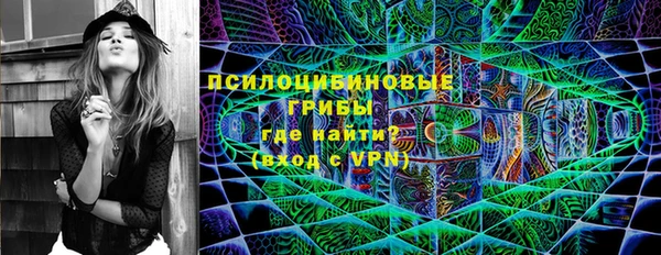 PSILOCYBIN Белокуриха