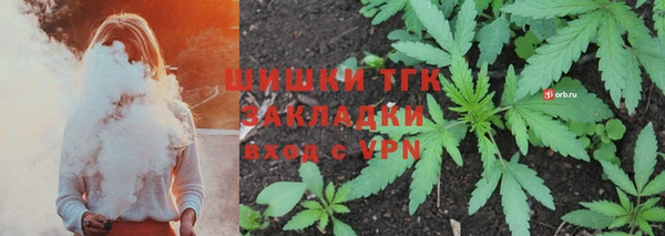 PSILOCYBIN Белокуриха