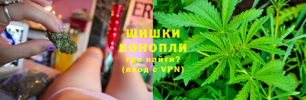PSILOCYBIN Белокуриха