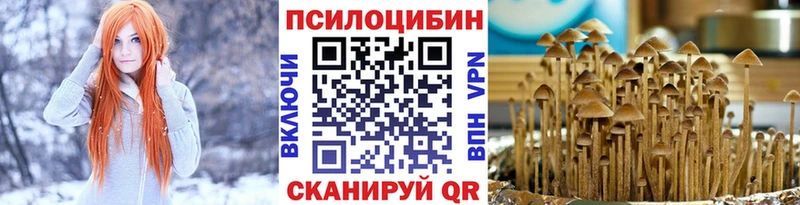 Галлюциногенные грибы MAGIC MUSHROOMS  где купить наркоту  Староминская 